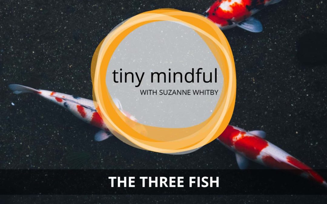 tiny mindful: The three fish